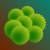 AccuPollen™ Allergy Tracker app logo image